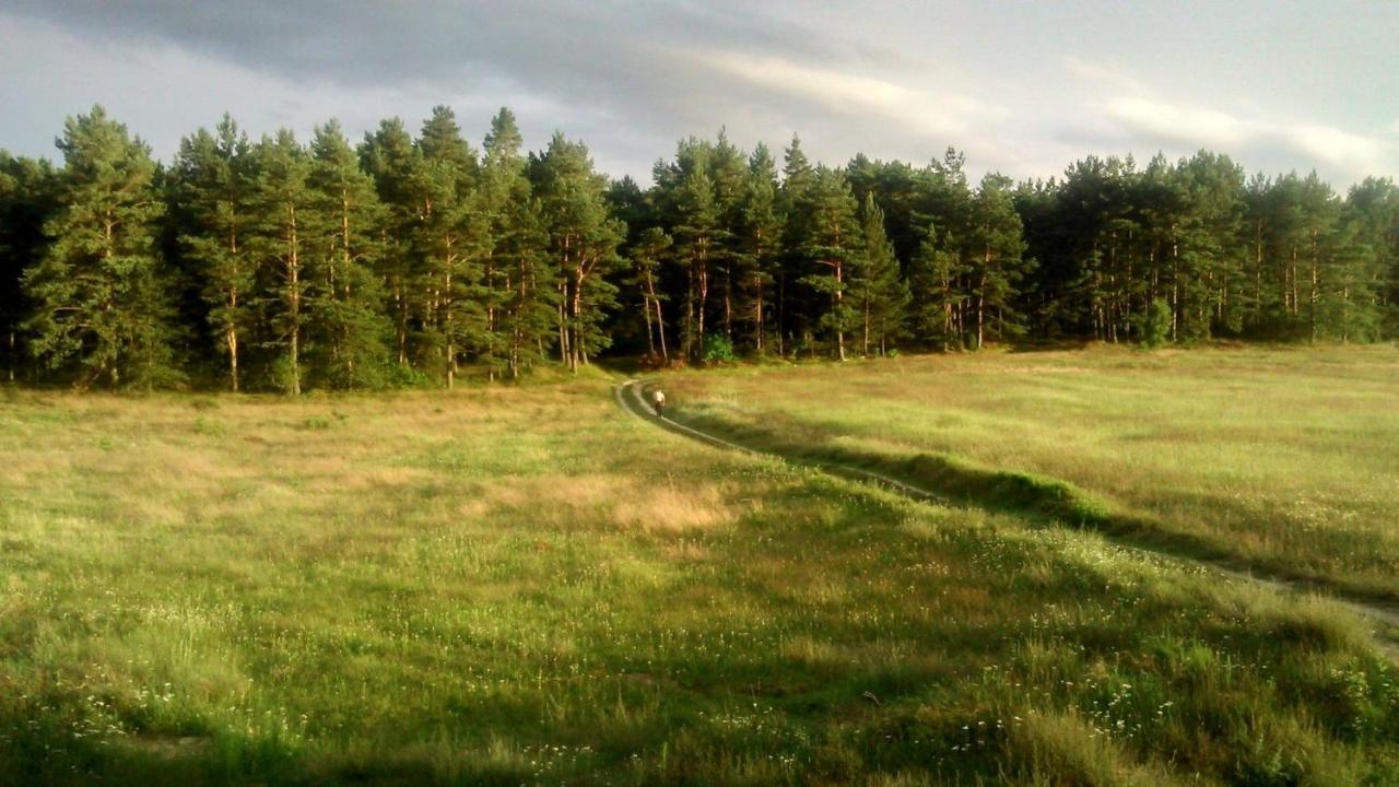 Pokoje Goscinne Weronika Ostrowo  Exterior foto