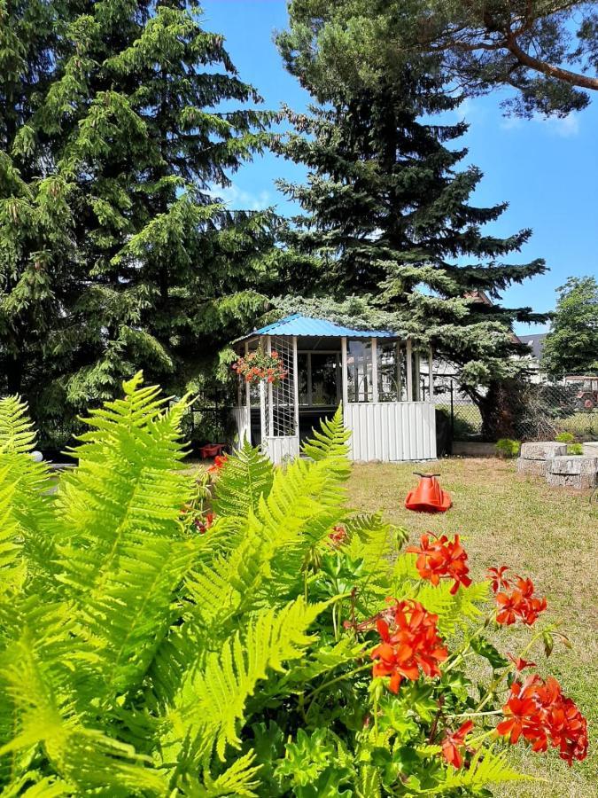 Pokoje Goscinne Weronika Ostrowo  Exterior foto